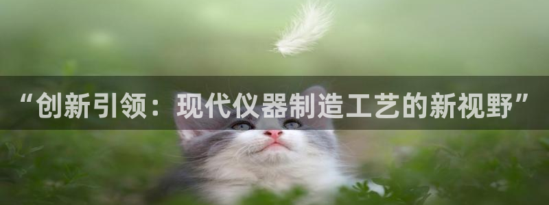 意昂3神州：“创新引领：现代仪器制造工艺的新视野”