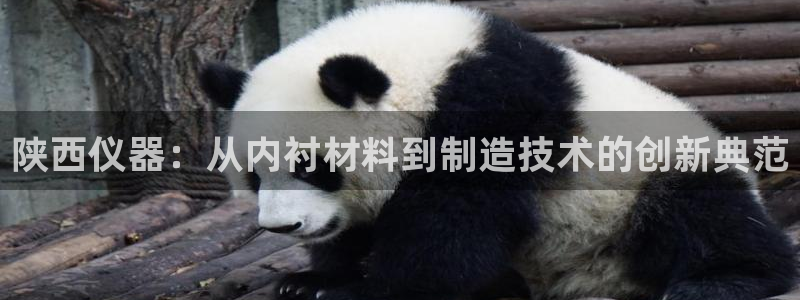 意昂3娱乐代理怎么样：陕西仪器：从内衬材料到制造技术的创新典