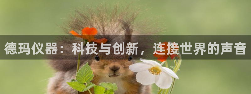 意昂3官网：德玛仪器：科技与创新，连接世界的声音
