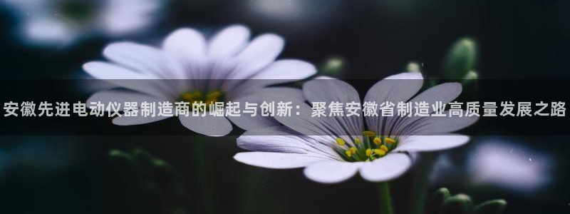 意昂3集团E.ON：安徽先进电动仪器制造商的崛起与创新：聚焦