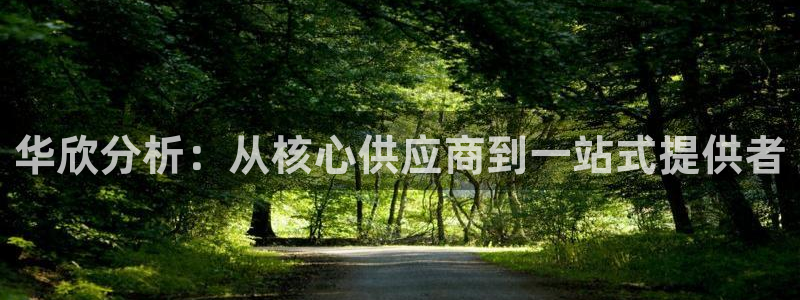 意昂体育3官方客服电话：华欣分析：从核心供应商到一站式提供者