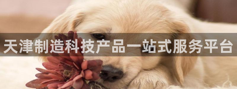 意昂3集团官网首页：天津制造科技产品一站式服务平台