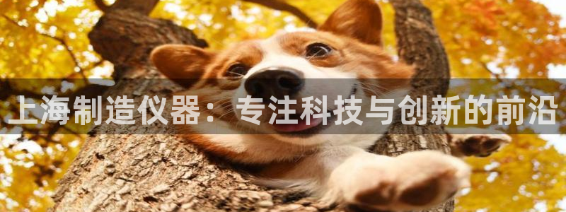 意昂体育3平台假的吗是真的吗吗：上海制造仪器：专注科技与创新
