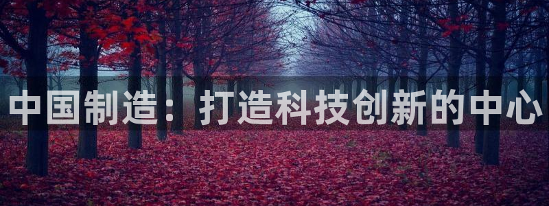 意昂体育3平台是正规平台吗：中国制造：打造科技创新的中心