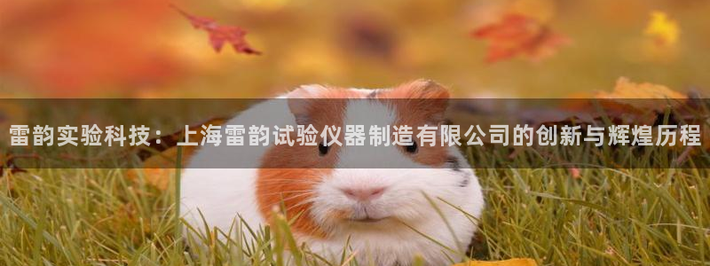 意昂体育3招商电话号码：雷韵实验科技：上海雷韵试验仪器制造有