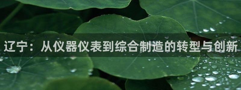 意昂体育3平台注册流程视频：辽宁：从仪器仪表到综合制造的转型