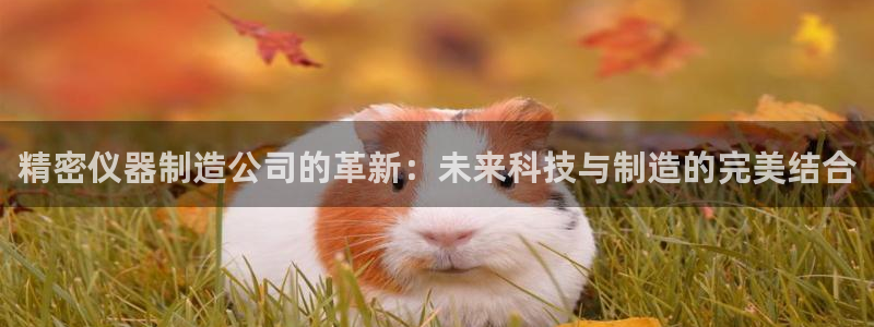 意昂体育3招商电话地址：精密仪器制造公司的革新：未来科技与制