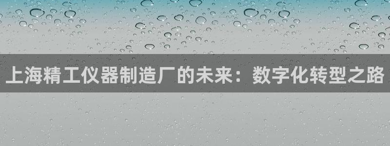 意昂3代理：上海精工仪器制造厂的未来：数字化转型之路