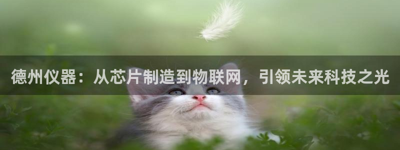 意昂体育3娱乐：德州仪器：从芯片制造到物联网，引领未来科技之