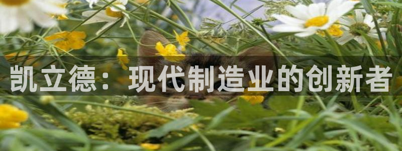意昂3集团：凯立德：现代制造业的创新者