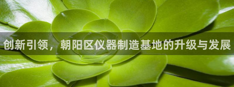 意昂体育3平台注册要钱吗安全吗：创新引领，朝阳区仪器制造基地